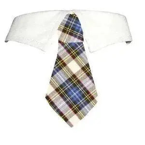 Blake Shirt Collar with Detachable Tie - petguardiansupplies