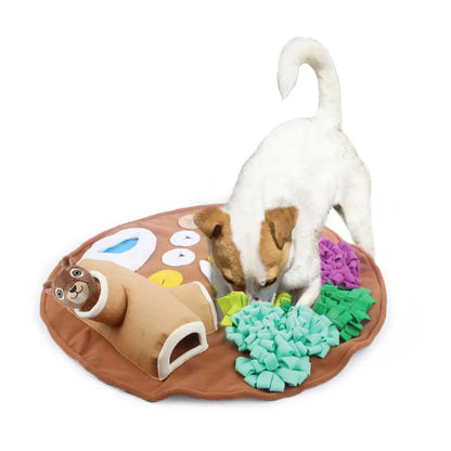 Interactive and Eco-friendly Washable Pet Mat-1