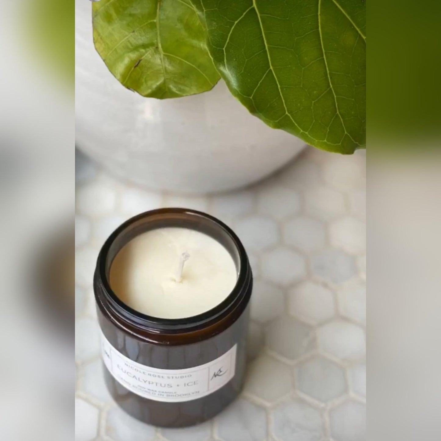 Eucalyptus + Ice Soy Wax Candle - petguardiansupplies