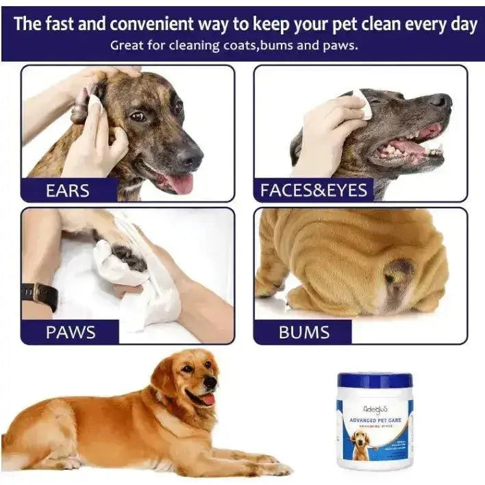 AdogluS Pet Wipes with Free Cotton Swabs - petguardiansupplies