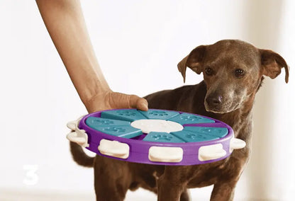 Engaging Dog Learning Toys-4