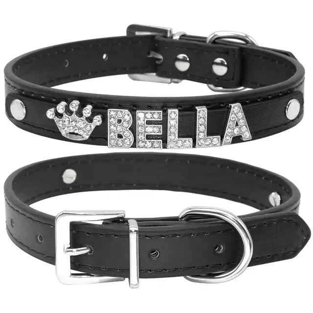 Cat and Small Dog Collar-1