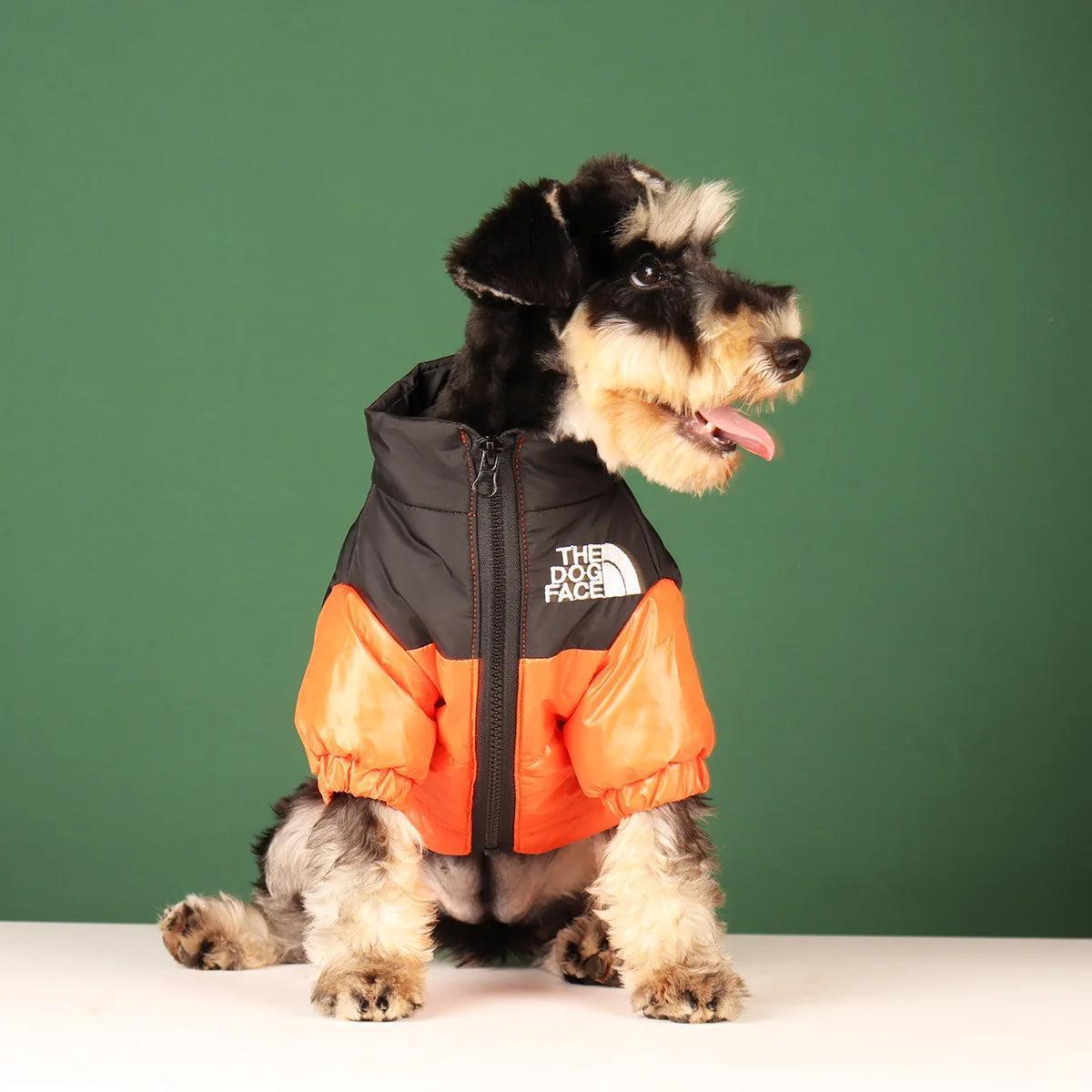 Warm Windproof Reflective Jacket for Small and Medium Dogs - petguardiansupplies