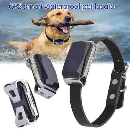 G12 GPS dog collar Smart Multifunctional Pet Locator Waterproof - petguardiansupplies