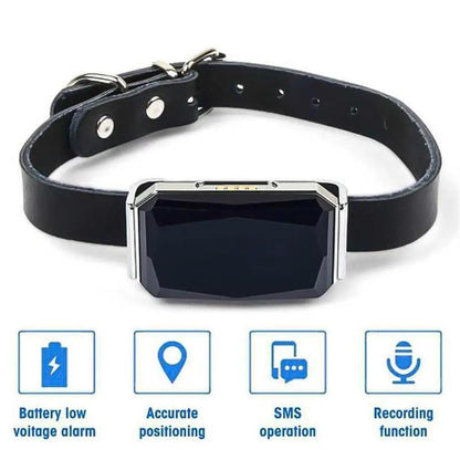 G12 GPS dog collar Smart Multifunctional Pet Locator Waterproof - petguardiansupplies