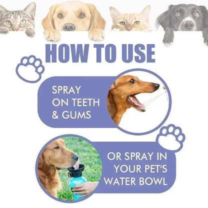 Pet Teeth Cleaning Spray Oral Care for Fresh Breath and Removing Tooth Stains - petguardiansupplies