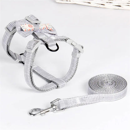 Trendy Nylon Pet Leash for Stylish Walks-2