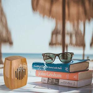 Wood Look Retro Bluetooth Speaker - petguardiansupplies