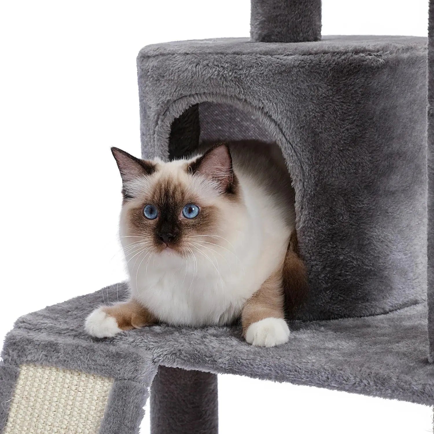 Domestic Delivery Multi-Level Cat Tree Tower Climb Furniture Scratching Post for Indoor House Pet Supplies Kitten Toy Cozy Condo - petguardiansupplies