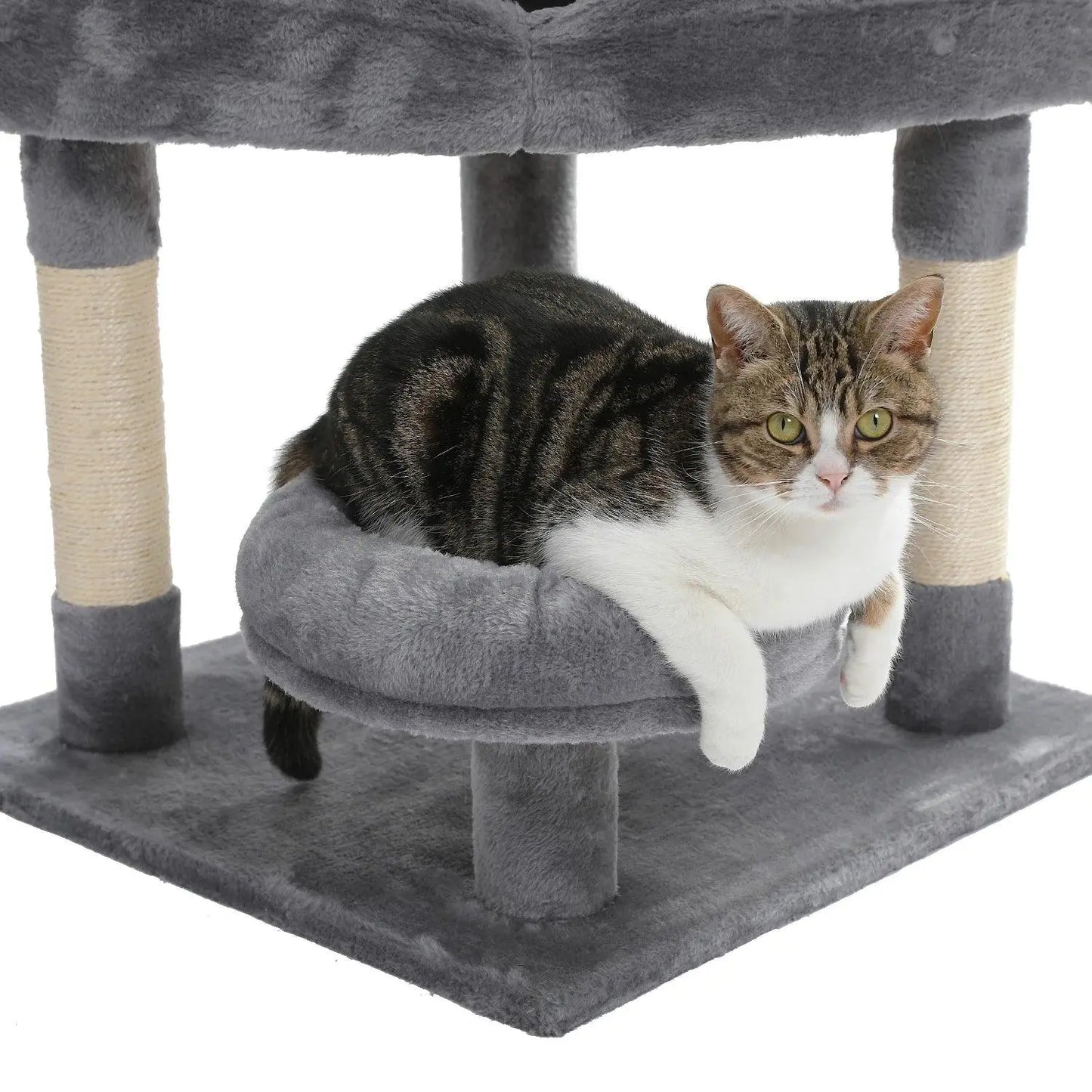 Domestic Delivery Multi-Level Cat Tree Tower Climb Furniture Scratching Post for Indoor House Pet Supplies Kitten Toy Cozy Condo - petguardiansupplies