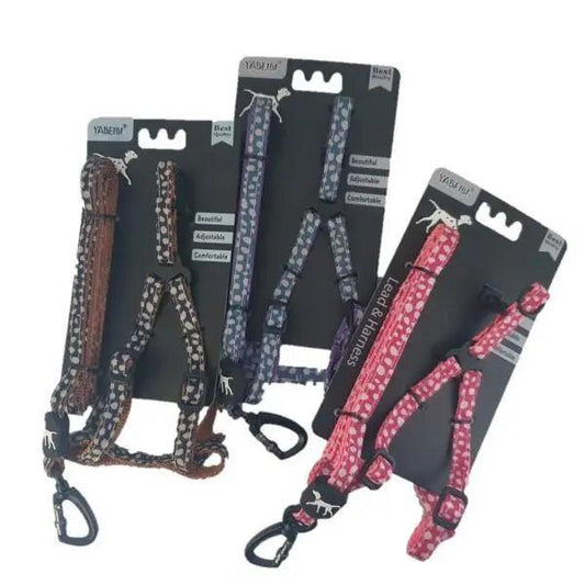 Extra Small Pet Leash & Harness Set - Assorted Colours - petguardiansupplies