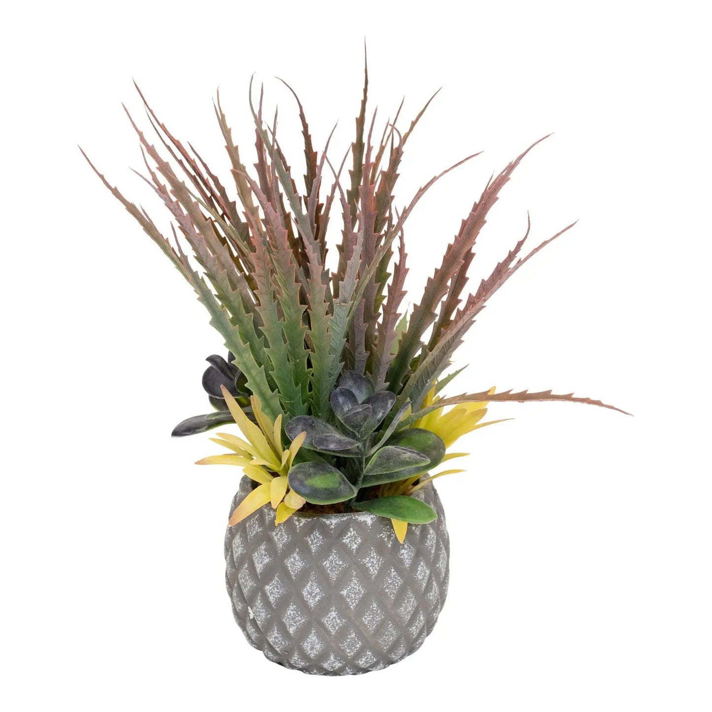 Succulents in Large Lattice Design Grey Pot-4