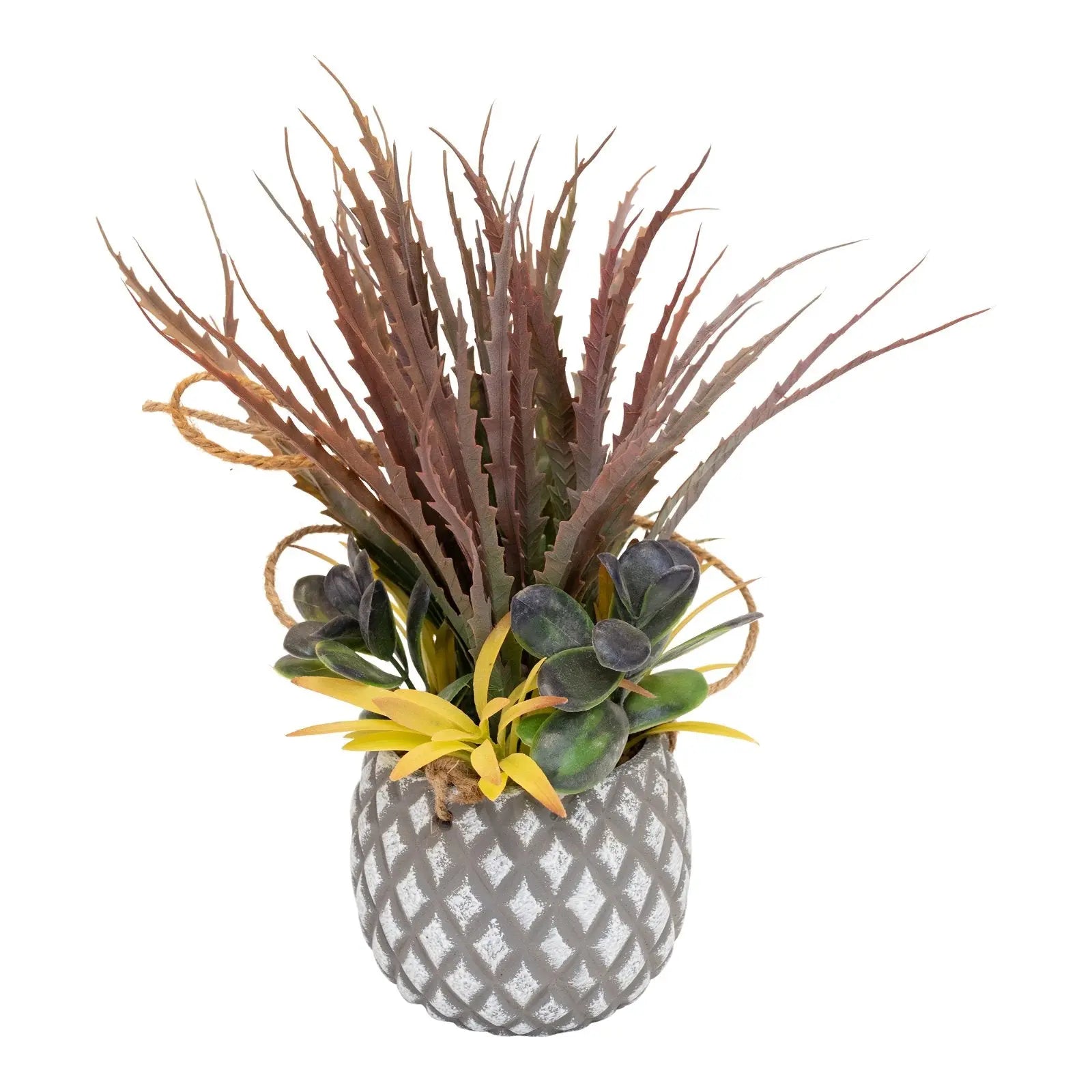 Succulents in Large Lattice Design Grey Pot-1