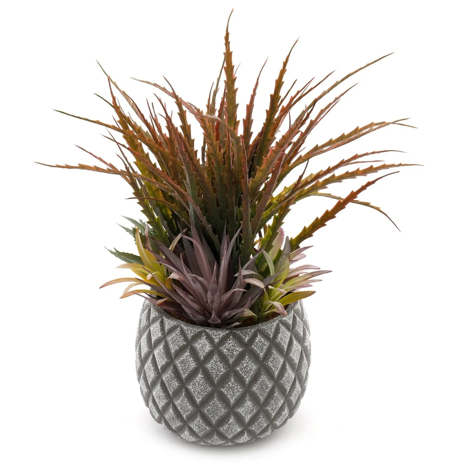 Succulents in Large Lattice Design Grey Pot-0