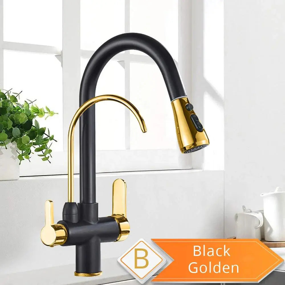 Black and Golden Filtered Crane For Kitchen Pull Out Sprayer  drinking water Three Ways Water Filter Tap Kitchen Faucet hot cold - petguardiansupplies