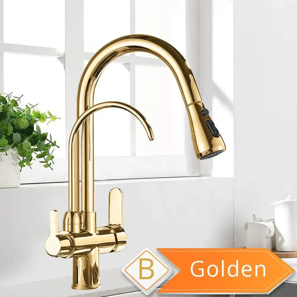 Black and Golden Filtered Crane For Kitchen Pull Out Sprayer  drinking water Three Ways Water Filter Tap Kitchen Faucet hot cold - petguardiansupplies