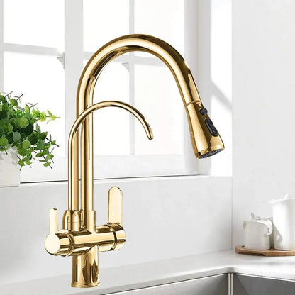 Black and Golden Filtered Crane For Kitchen Pull Out Sprayer  drinking water Three Ways Water Filter Tap Kitchen Faucet hot cold - petguardiansupplies