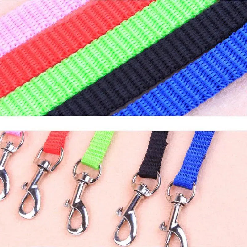 Cat Collar Harness Leash Adjustable Nylon Pet Traction Cat Kitten Dog Halter Collar gato Cats Products Pet Harness Belt - petguardiansupplies