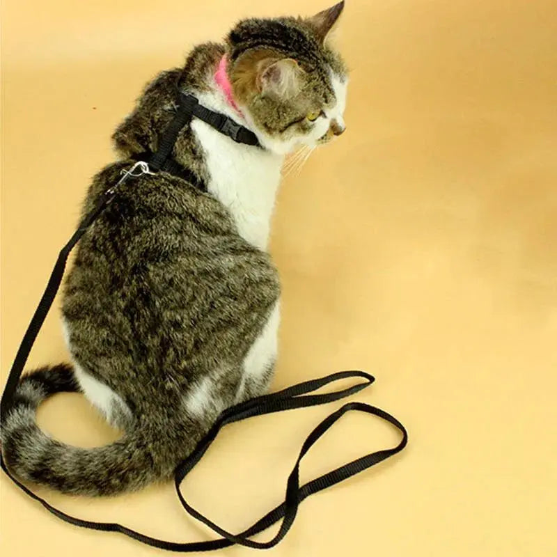 Cat Collar Harness Leash Adjustable Nylon Pet Traction Cat Kitten Dog Halter Collar gato Cats Products Pet Harness Belt - petguardiansupplies