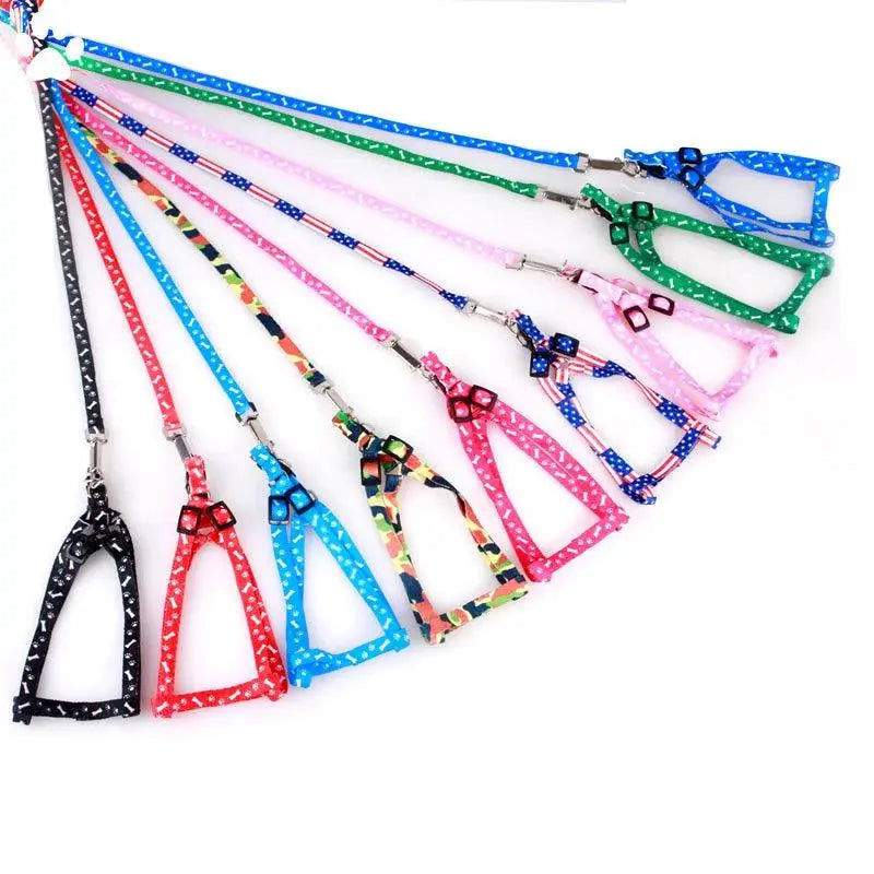 Cat Collar Harness Leash Adjustable Nylon Pet Traction Cat Kitten Dog Halter Collar gato Cats Products Pet Harness Belt - petguardiansupplies