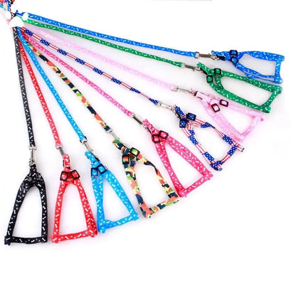 Cat Collar Harness Leash Adjustable Nylon Pet Traction Cat Kitten Dog Halter Collar gato Cats Products Pet Harness Belt - petguardiansupplies