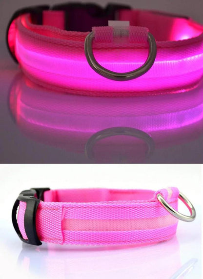 YUDODO Nylon LED Pet Dog Collars for animals Night Safety Flashing Glow Dog Leash Dogs Luminous Fluorescent Collars Pet Supplies - petguardiansupplies