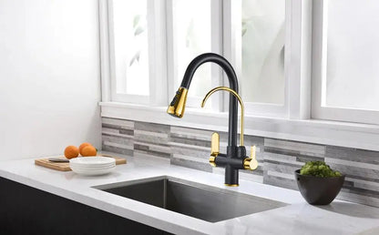 Black and Golden Filtered Crane For Kitchen Pull Out Sprayer  drinking water Three Ways Water Filter Tap Kitchen Faucet hot cold - petguardiansupplies