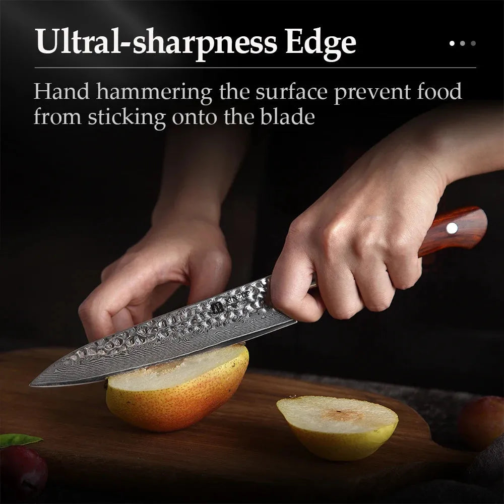 XINZUO 6'' Utility Knife vg10 Damascus Steel Kitchen Utility Knives for Vegetables Rosewood Handle Stainless Steel Paring Knife - petguardiansupplies