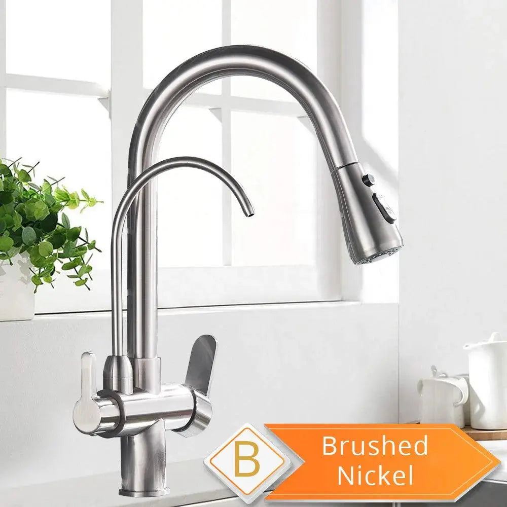 Black and Golden Filtered Crane For Kitchen Pull Out Sprayer  drinking water Three Ways Water Filter Tap Kitchen Faucet hot cold - petguardiansupplies