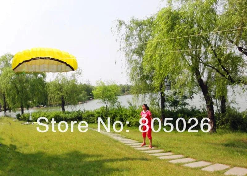 free shipping 2.5m dual Line Stunt power Kite soft kite Parafoil kite surf flying outdoor fun sports kites kiteboard factory koi - petguardiansupplies