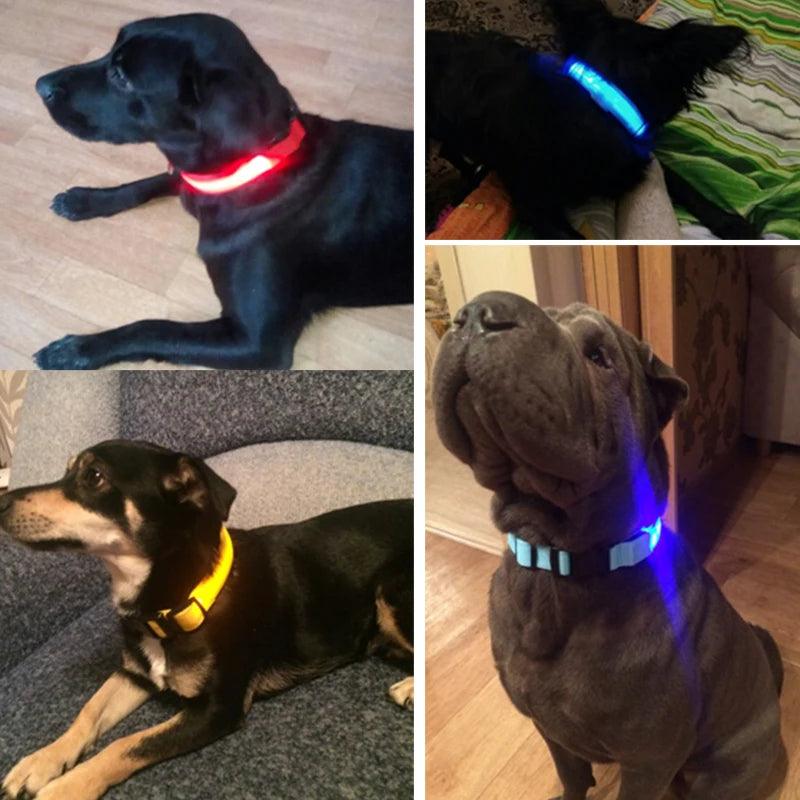 YUDODO Nylon LED Pet Dog Collars for animals Night Safety Flashing Glow Dog Leash Dogs Luminous Fluorescent Collars Pet Supplies - petguardiansupplies