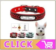 Quick Release Cat Collar Safety Custom Puppy Kitten ID Collars Reflective Breakaway With Bell For Small Cats Adjustable XXS XS - petguardiansupplies