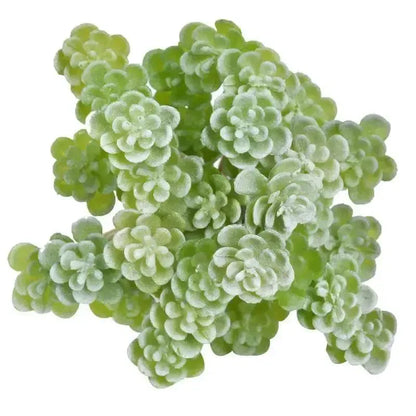 Artificial Succulent Artificial Plant Faux Succulent Artificial Plants Flower For Home Office Garden Decoration Accessories - petguardiansupplies