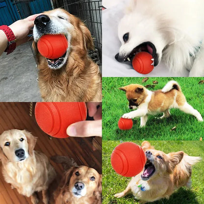 HOOPET Dog Toy Rubber Ball Bite-resistant Ball Toy for Dogs Puppy Teddy Pitbull Red Color Solid Ball S-XL Pet Supplies - petguardiansupplies