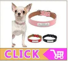 Quick Release Cat Collar Safety Custom Puppy Kitten ID Collars Reflective Breakaway With Bell For Small Cats Adjustable XXS XS - petguardiansupplies