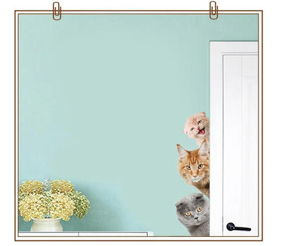 Dogs Cats 3D Wall Sticker Funny Door Window Wardrobe Fridge Decorations for Kids Room Home Decor Cartoon Animal Art Vinyl Decal - petguardiansupplies