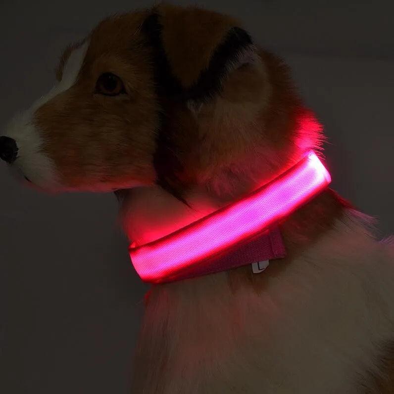 YUDODO Nylon LED Pet Dog Collars for animals Night Safety Flashing Glow Dog Leash Dogs Luminous Fluorescent Collars Pet Supplies - petguardiansupplies