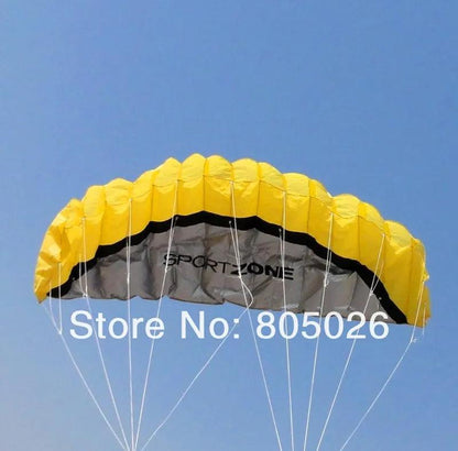 free shipping 2.5m dual Line Stunt power Kite soft kite Parafoil kite surf flying outdoor fun sports kites kiteboard factory koi - petguardiansupplies