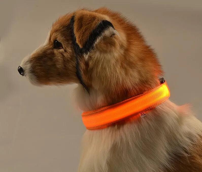 YUDODO Nylon LED Pet Dog Collars for animals Night Safety Flashing Glow Dog Leash Dogs Luminous Fluorescent Collars Pet Supplies - petguardiansupplies