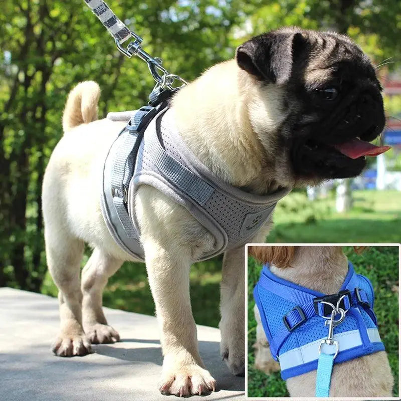 Reflective Cat Harness And Leash Set Nylon Mesh Kitten Puppy Dogs Vest Harness Leads Pet Clothes For Small Dogs Yorkies Pug - petguardiansupplies