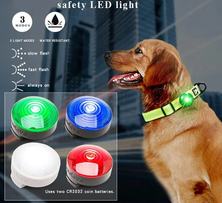 Truelove Safety LED Light for Pet Wear Collar Harness Backpack with Water Resistant and Long Continuous Battery Life TLD19101 - petguardiansupplies