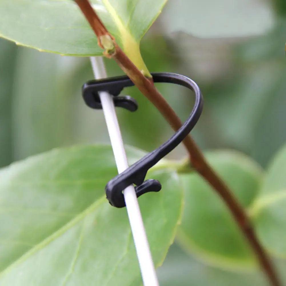 100PCS Vines Fastener Tied Buckle Hook Plant Vegetable Grafting Clips Agricultural Greenhouse Supplies - petguardiansupplies