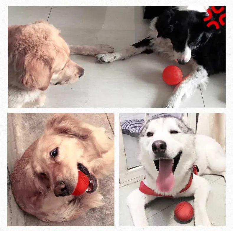 HOOPET Dog Toy Rubber Ball Bite-resistant Ball Toy for Dogs Puppy Teddy Pitbull Red Color Solid Ball S-XL Pet Supplies - petguardiansupplies