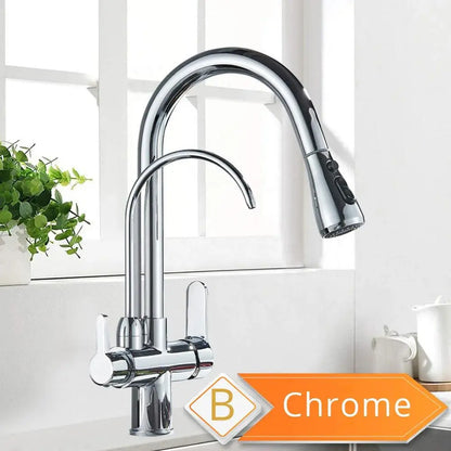 Black and Golden Filtered Crane For Kitchen Pull Out Sprayer  drinking water Three Ways Water Filter Tap Kitchen Faucet hot cold - petguardiansupplies