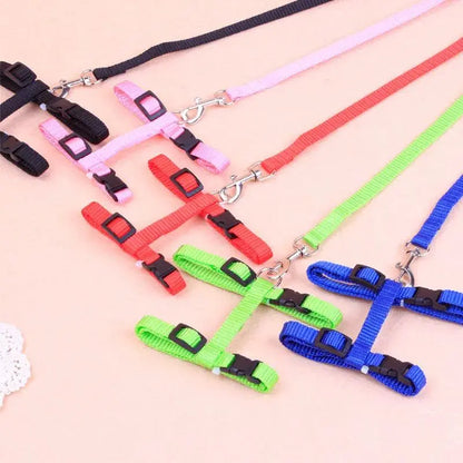 Cat Collar Harness Leash Adjustable Nylon Pet Traction Cat Kitten Dog Halter Collar gato Cats Products Pet Harness Belt - petguardiansupplies