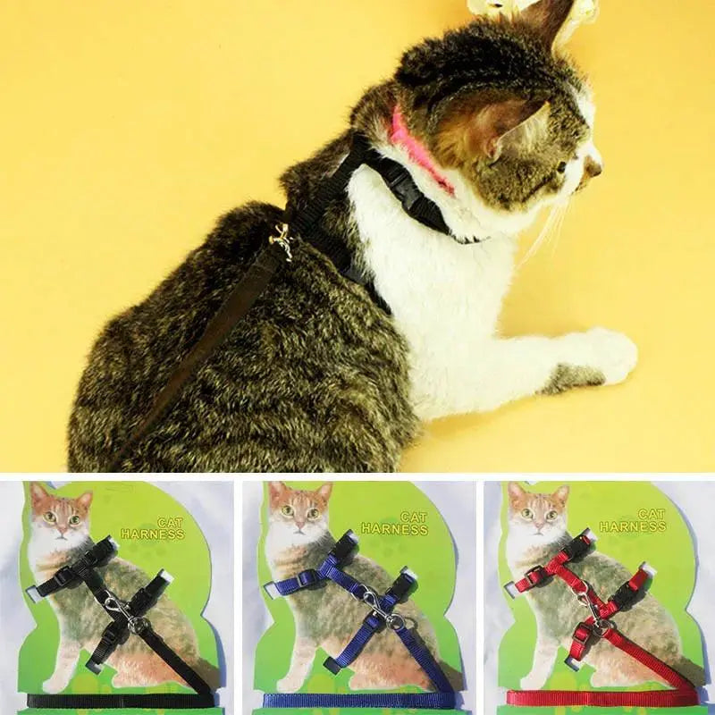 Cat Collar Harness Leash Adjustable Nylon Pet Traction Cat Kitten Dog Halter Collar gato Cats Products Pet Harness Belt - petguardiansupplies