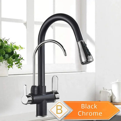 Black and Golden Filtered Crane For Kitchen Pull Out Sprayer  drinking water Three Ways Water Filter Tap Kitchen Faucet hot cold - petguardiansupplies