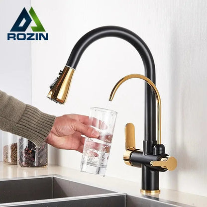 Black and Golden Filtered Crane For Kitchen Pull Out Sprayer  drinking water Three Ways Water Filter Tap Kitchen Faucet hot cold - petguardiansupplies