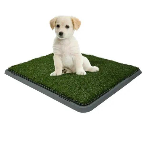 Pet Potty Patch 40 x 50cm - petguardiansupplies