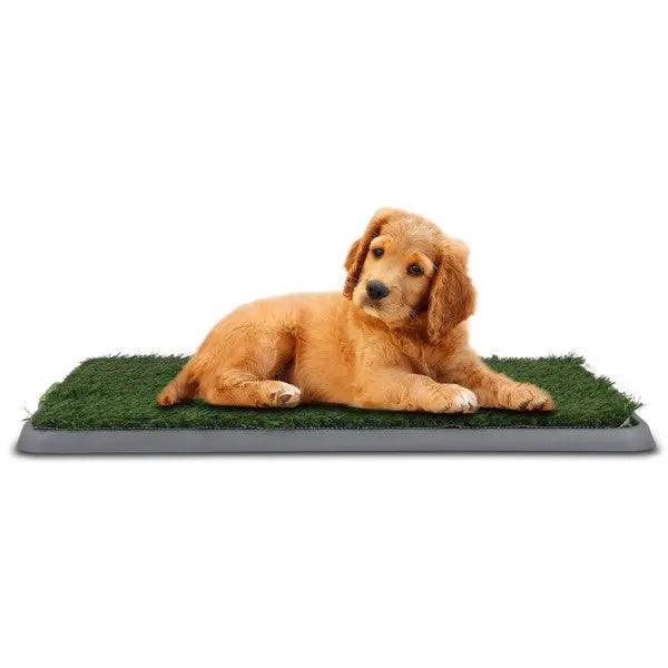 Pet Potty Patch 43 x 68cm - petguardiansupplies